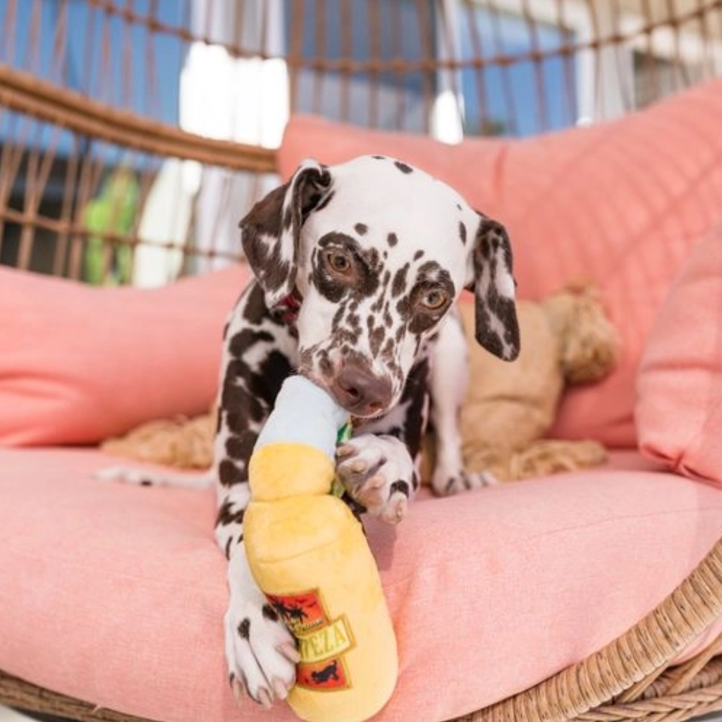 Hund mit P.L.A.Y Hundespielzeug Canine Cerveza