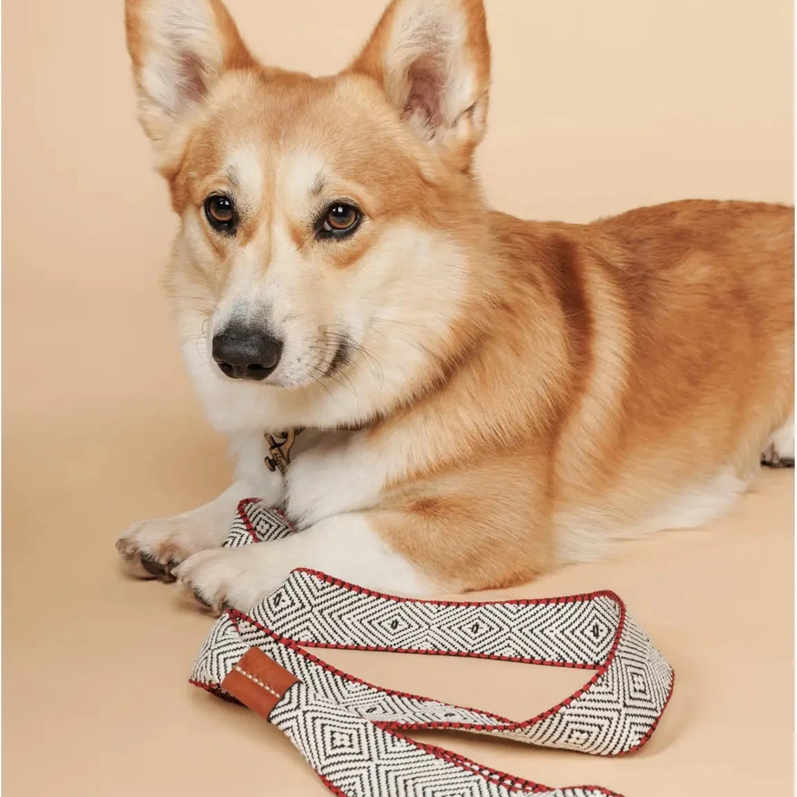 Hund mit Hundeleine CAPRI BEACH DAY - Buddys Dogwear