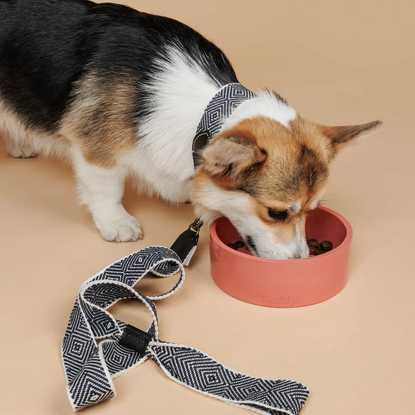 Tragebild Halsband & Hundeleine CAPRI BEACH DAY - Buddys Dogwear