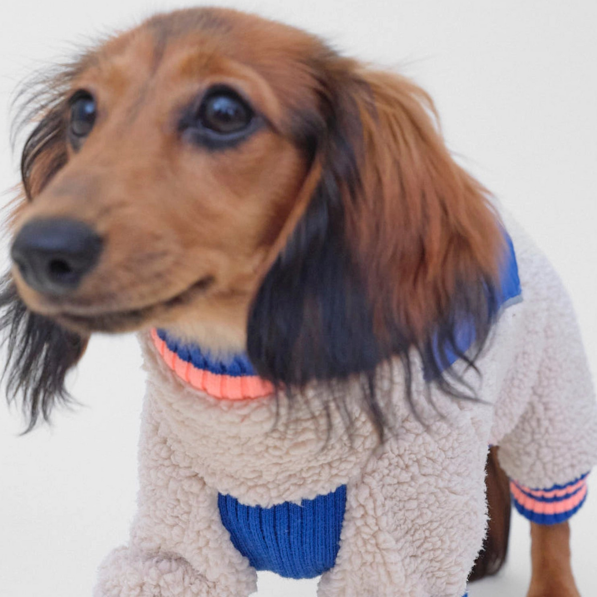 lumiies® Sport Racer Hundeoverall aus Teddy-Sherpa-Fleece Royal Alpine