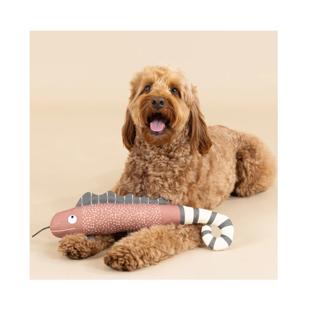 Hund mit Hundespielzeug One In A Chameleon | Earth Friendly - PetShop by Fringe Studio