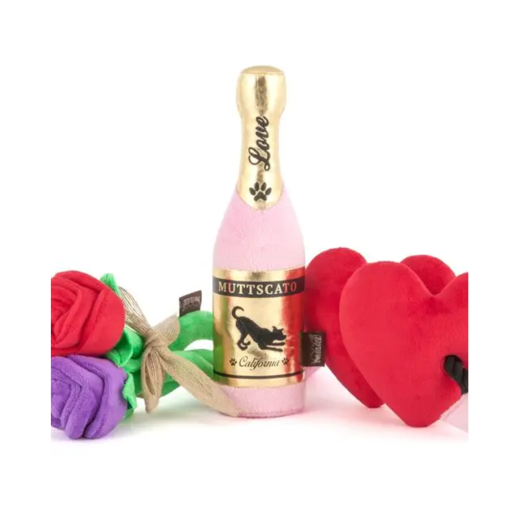 Moodbild P.L.A.Y Hundespielzeug Champagner Bubbly Muttscato