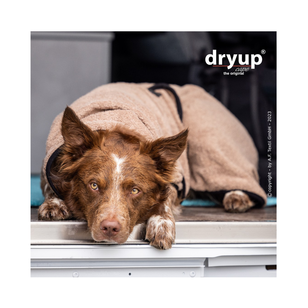 Tragebild Hundebademantel DRYUP Cape COOFFEE - actionfactory