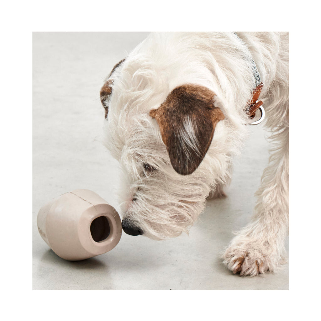 Hund mit Cono Beschäftigungsspielzeug Greige beige - MiaCara