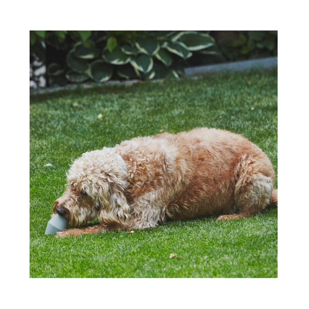 Hund mit Cono Beschäftigungsspielzeug Salbei grün - MiaCara