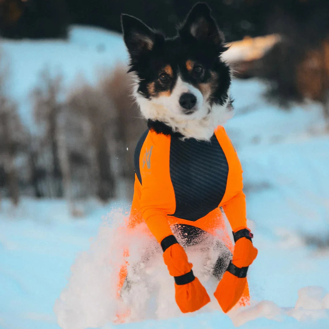Hundesocken CONTACT Booties high