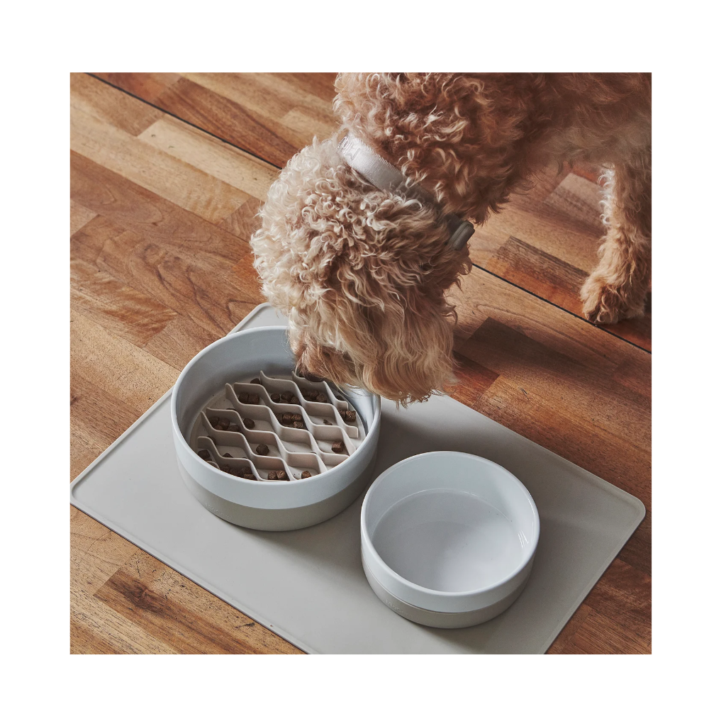 MiaCara Coppa Napf Greige mit Antischlingeinsatz