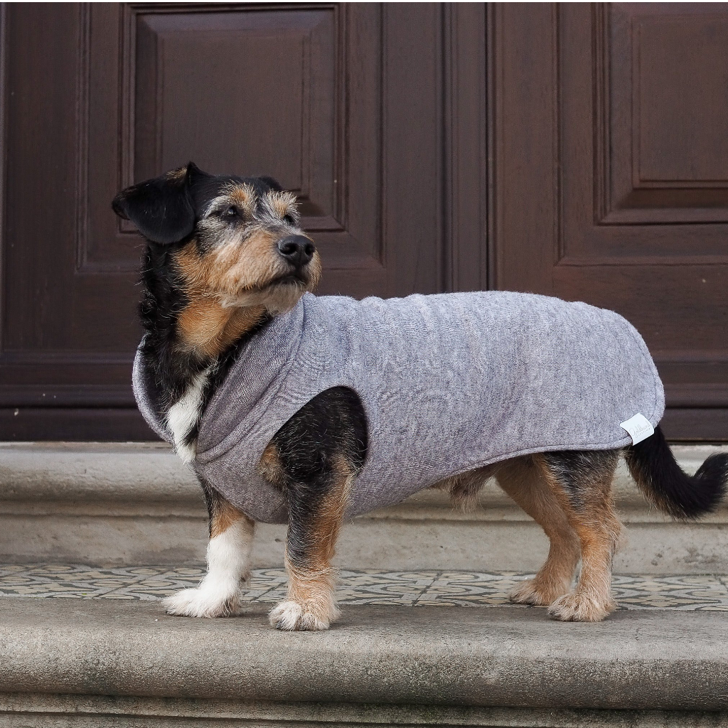 Tragebild Hund mit Hundepullover CosyShirt light Strick Grau - Goldhund