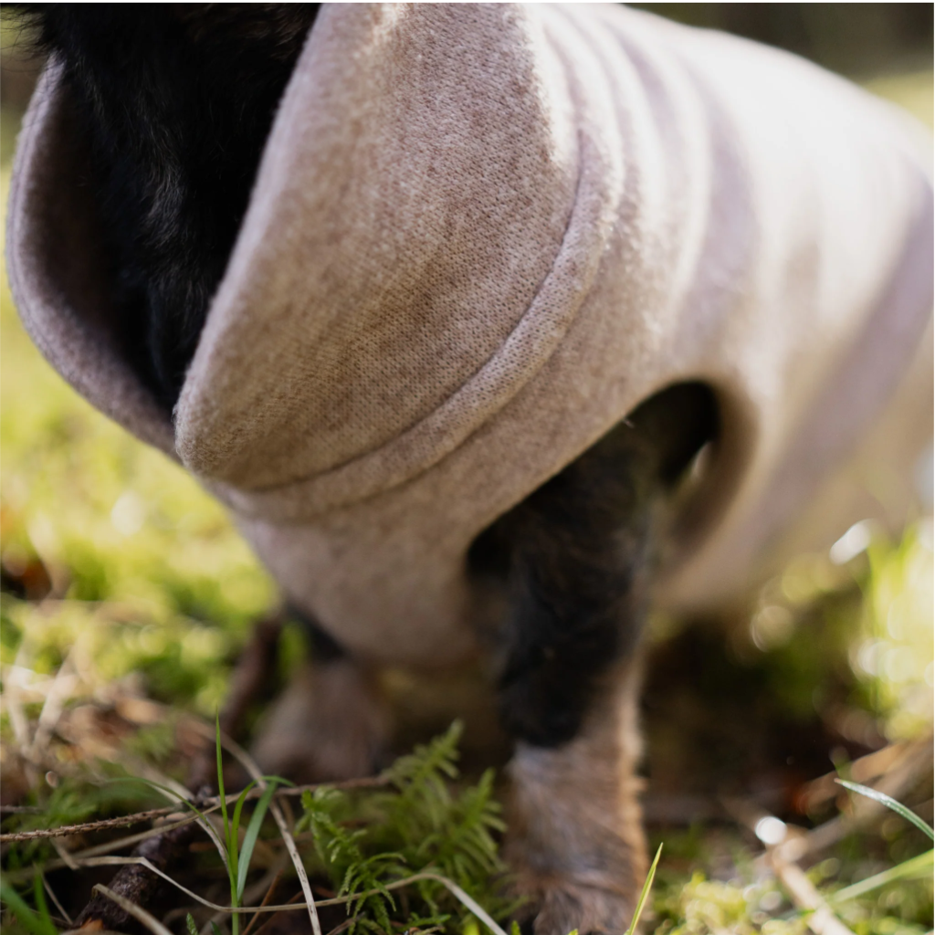 Nahaufnahme Material Hundepullover CosyShirt light Strick Zimt - Goldhund