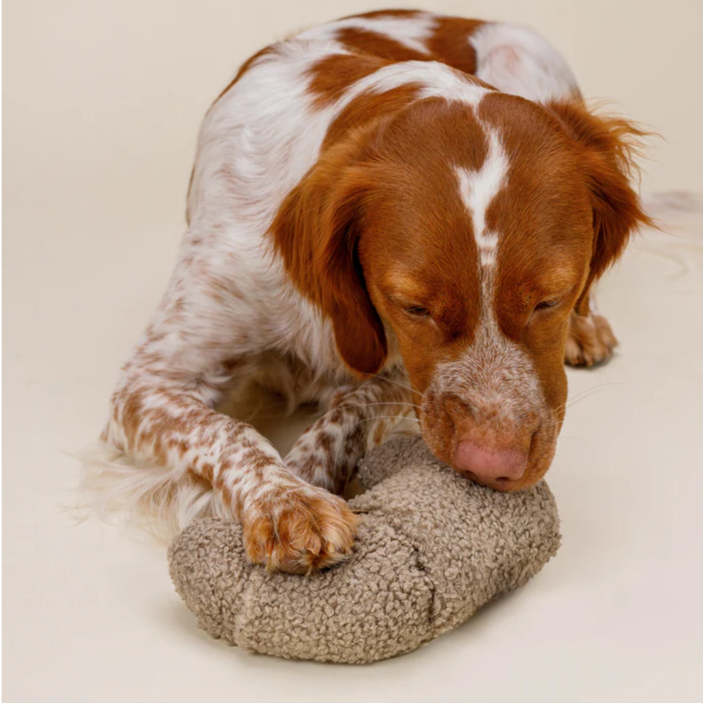 Hund mit Schnüffelspielzeug Croissant - Lillabel