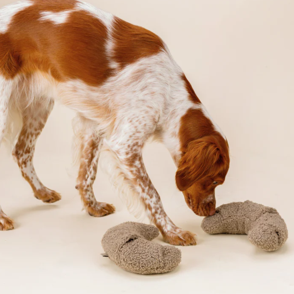 Hund mit Schnüffelspielzeug Croissants - Lillabel