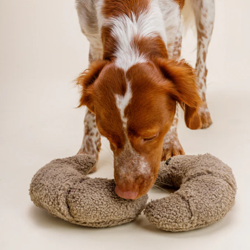 Hund mit Schnüffelspielzeug Croissants 2 - Lillabel
