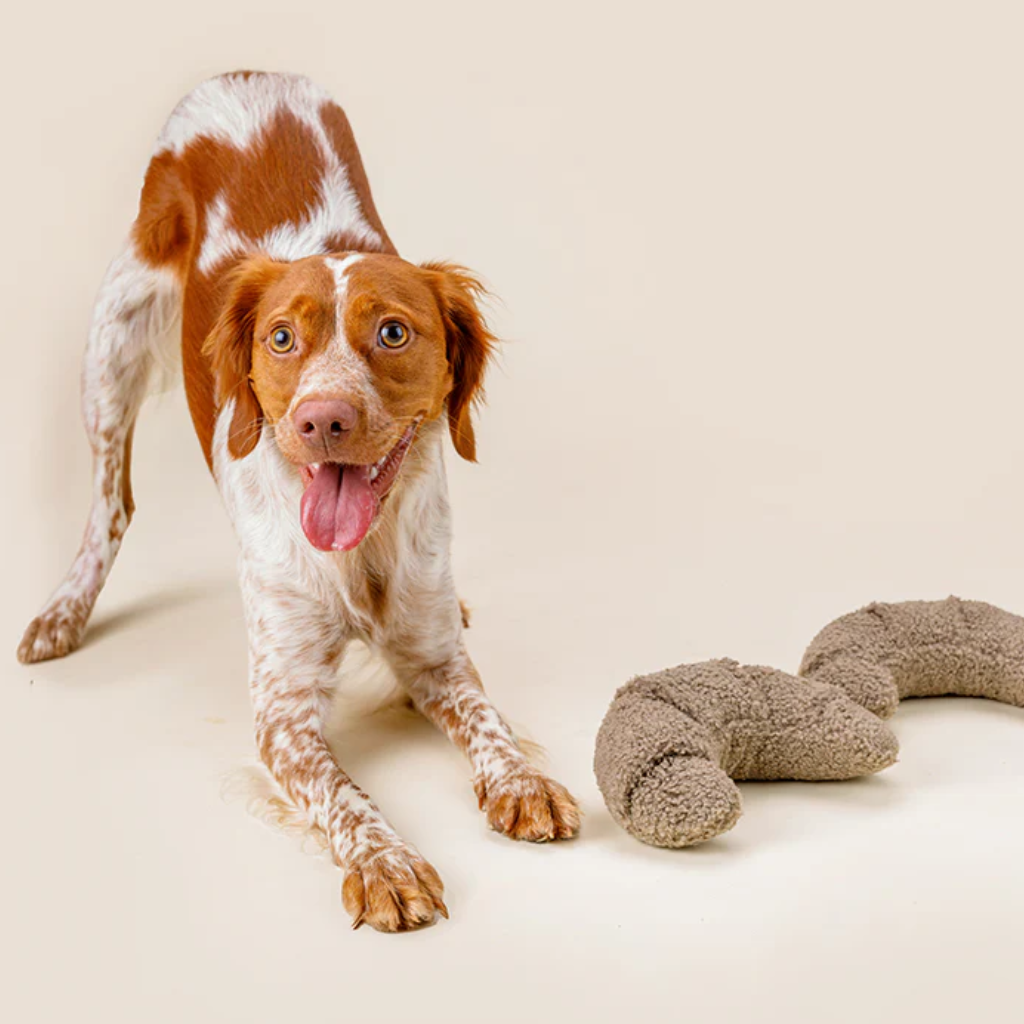 Hund mit Schnüffelspielzeug Croissant 2 - Lillabel