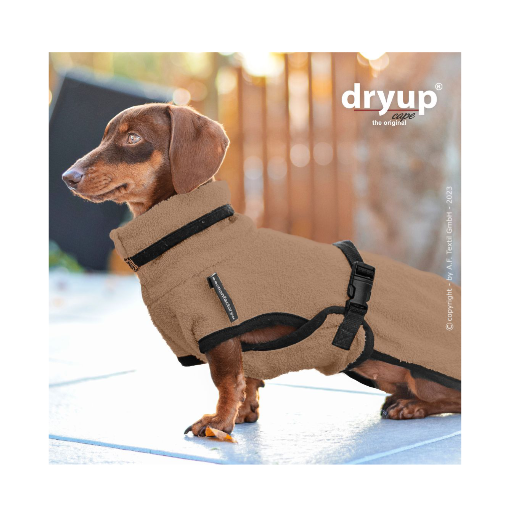 Moodbild 2 Hundebademantel DRYUP Cape Dackel COFFEE - actionfactory