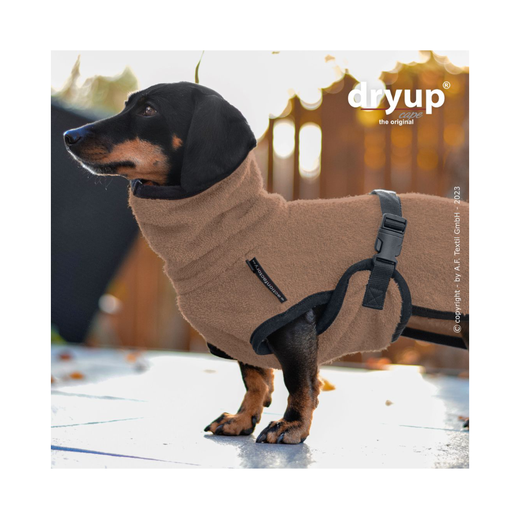 Moodbild 3 Hundebademantel DRYUP Cape Dackel COFFEE - actionfactory