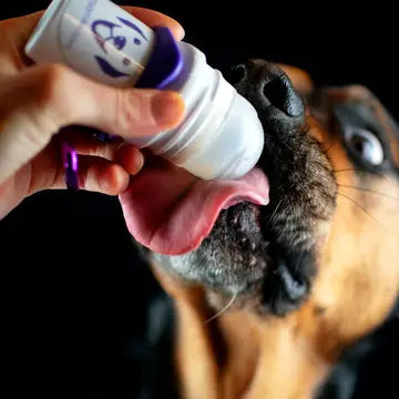 Doggyroller