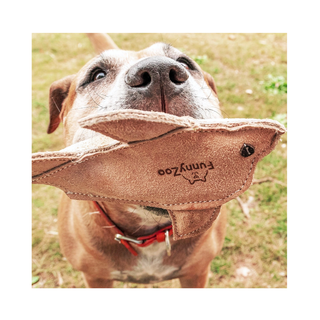 Hund mit Hundespielzeug DELFIN aus Wildleder - Funny Zoo
