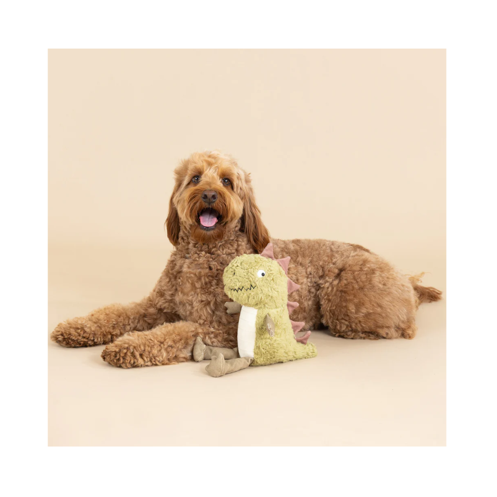 Hundespielzeug Small Arms, Big Heart I Earth Friendly