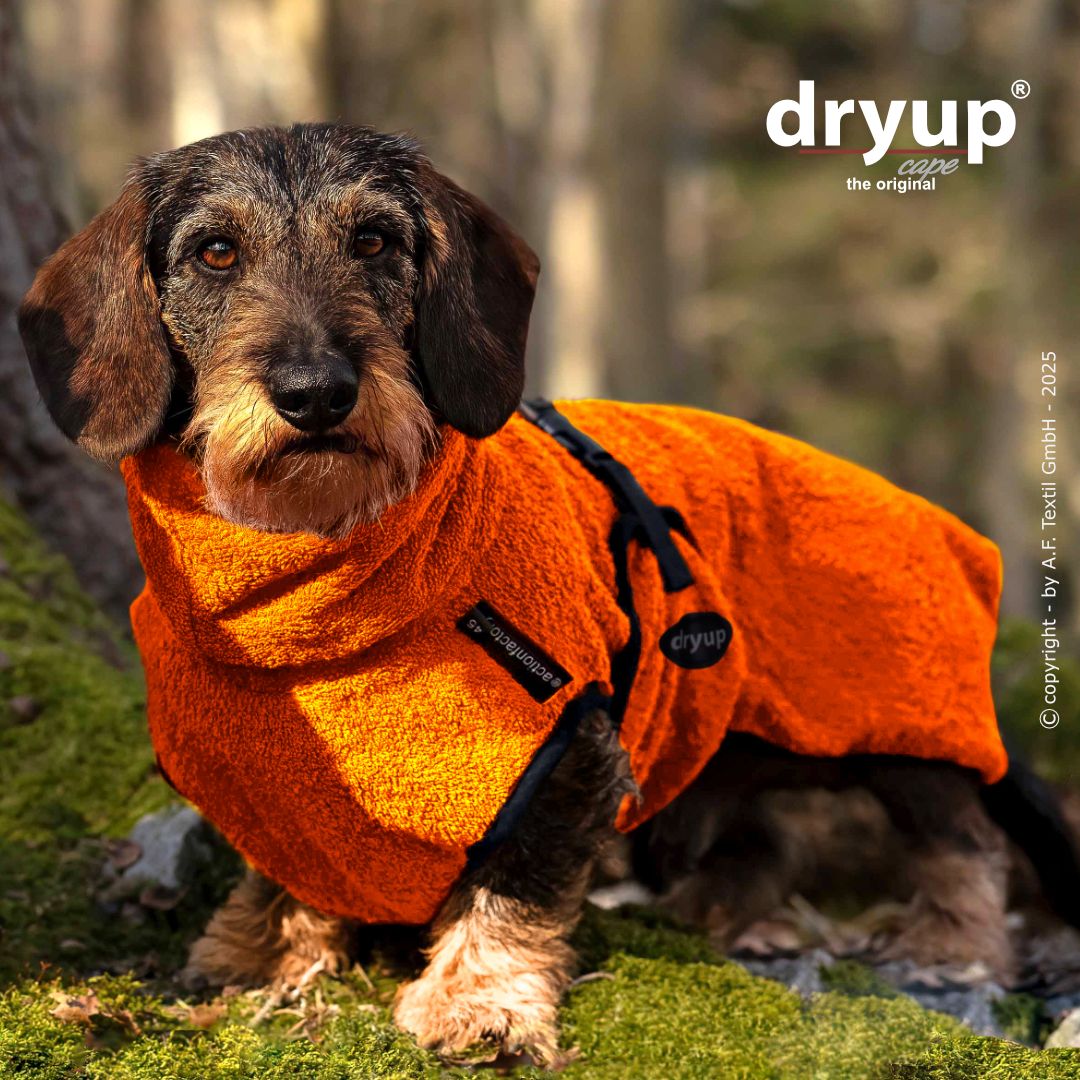 Hundebademantel DRYUP Cape Dackel Clementine - actionfactory