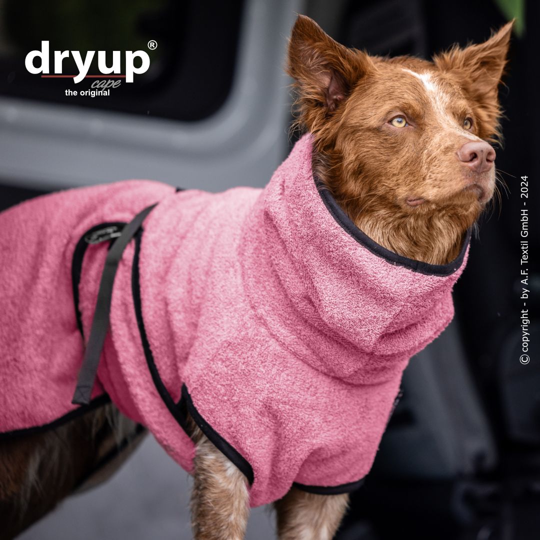Tragebild Hundebademantel DRYUP Cape Rose - actionfactory