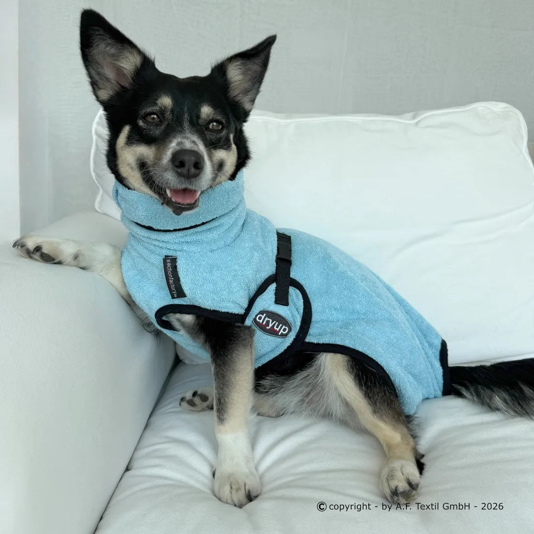 Hundebademantel DRYUP Cape MINI Lightblue