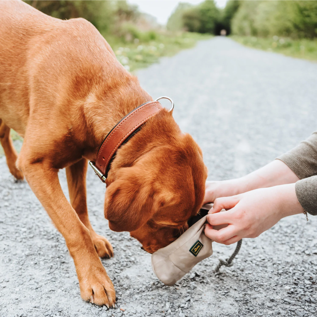 Hund mit Trainer Snack Dummy mit Seil TAUPE - HUNTER