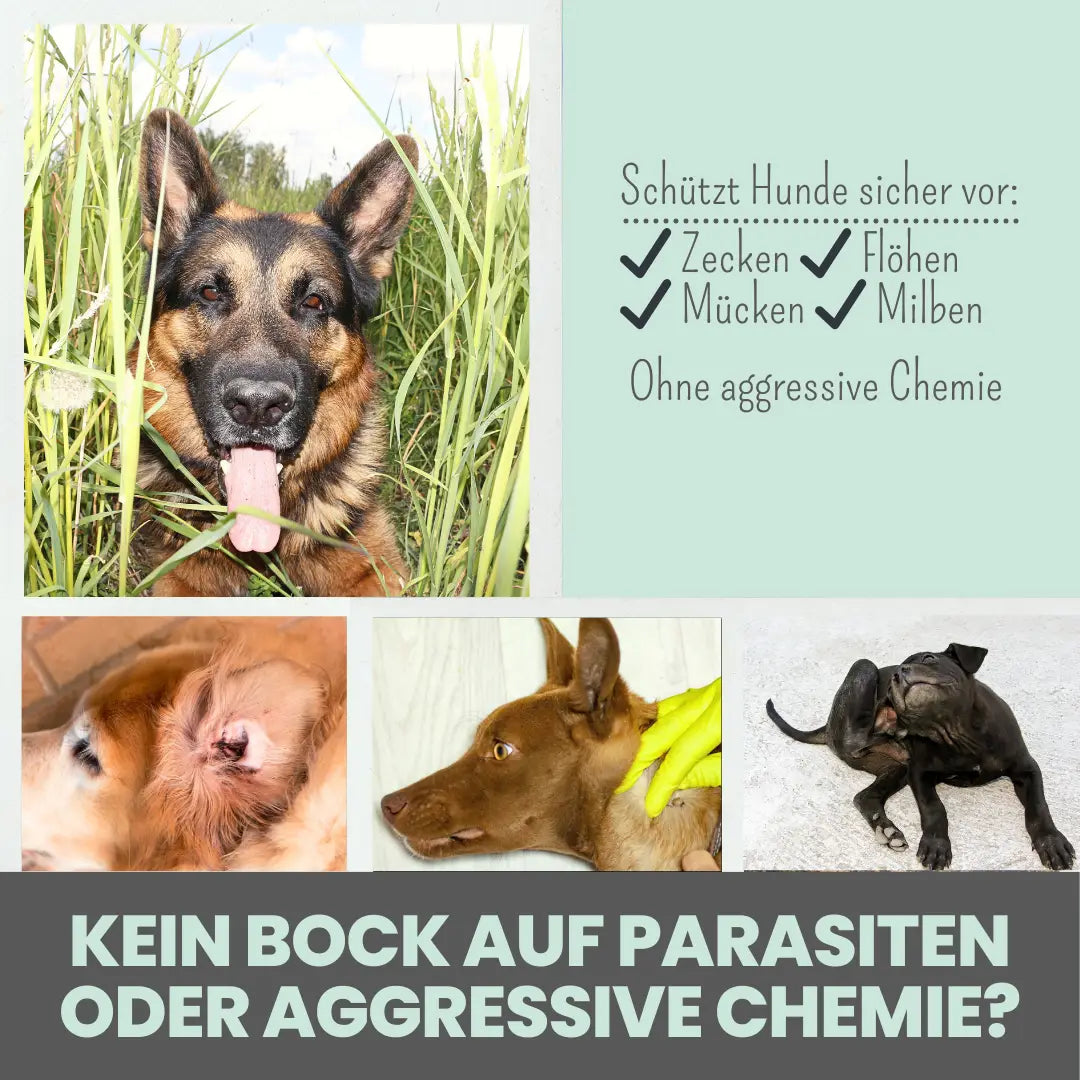 noms+ Zpray gegen Zecken, Flöhe, Milben & Mücken