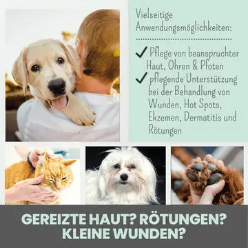 noms+ Silberspray mit 50ppm