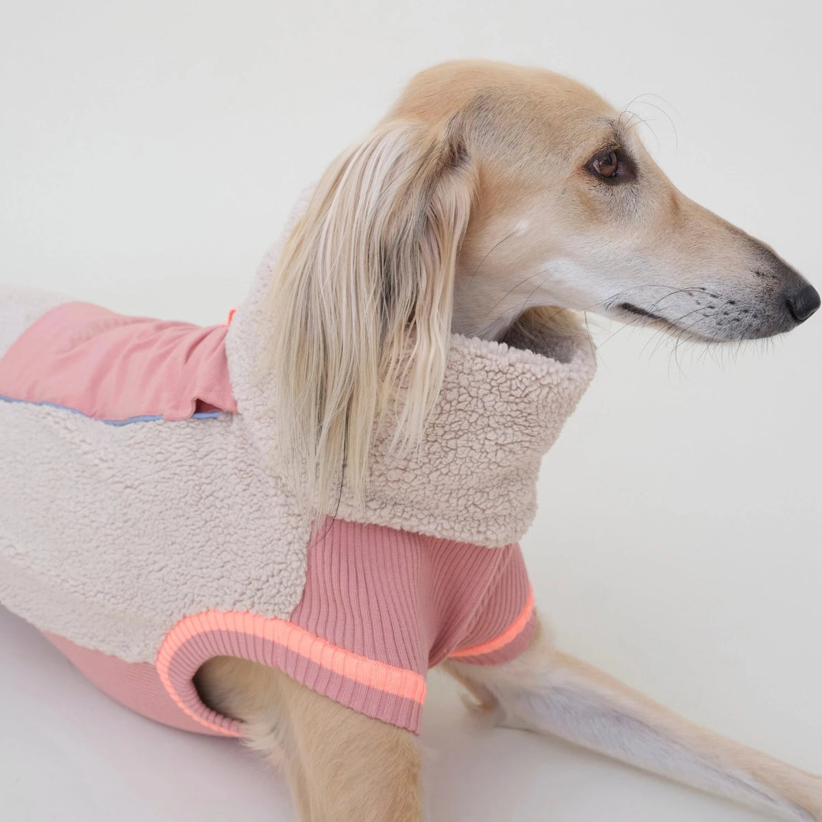 lumiies® Sport Racer Hundepollover aus Teddy-Sherpa-Fleece