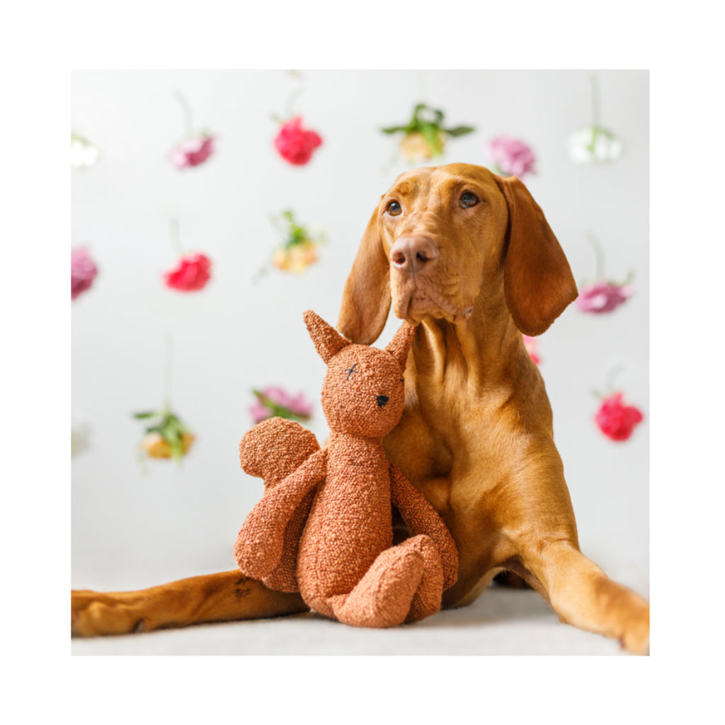 Hund mit Hundespielzeug LEA The Squirrel - Lillabel