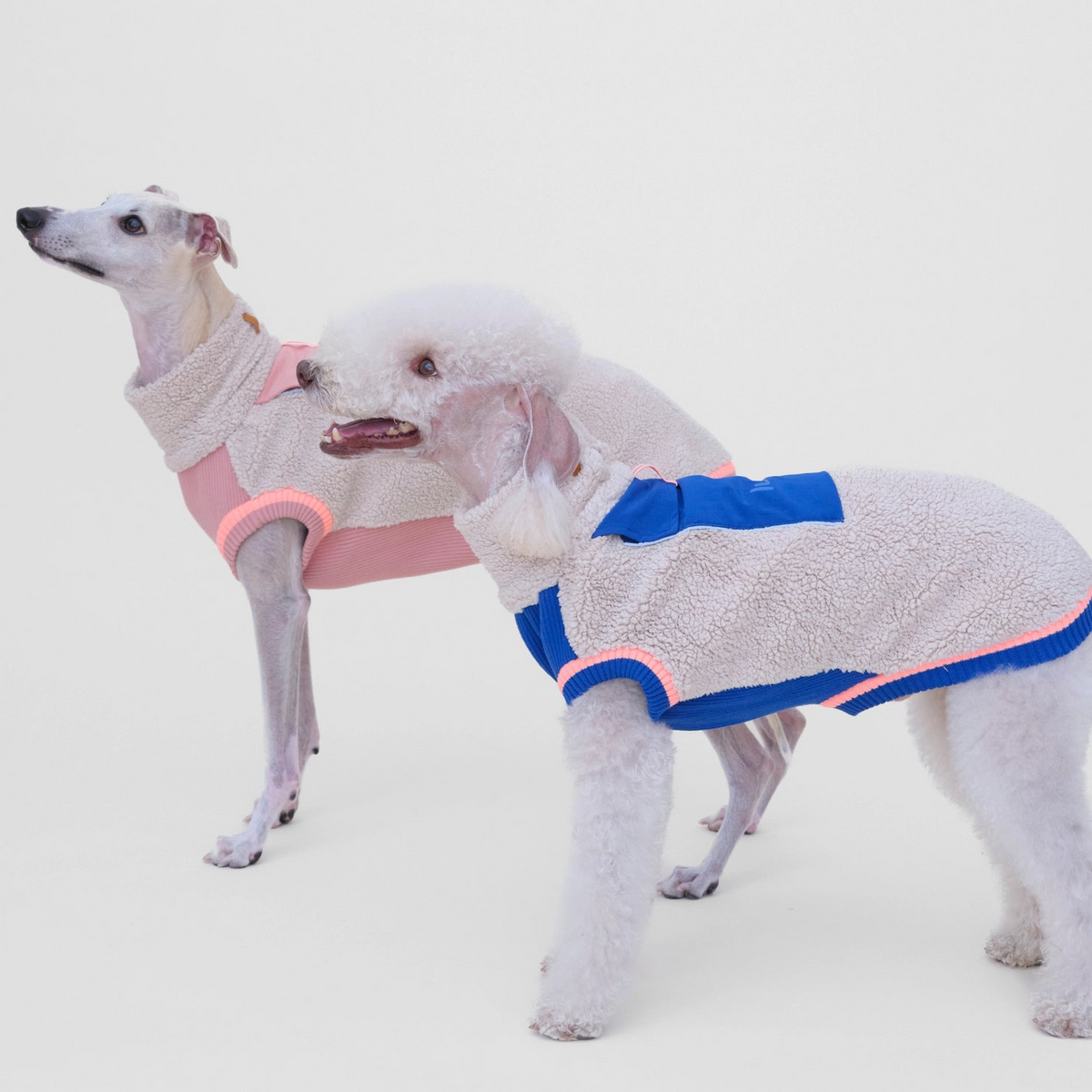 lumiies® Sport Racer Hundepullover aus Teddy-Sherpa-Fleece Royal Alpine