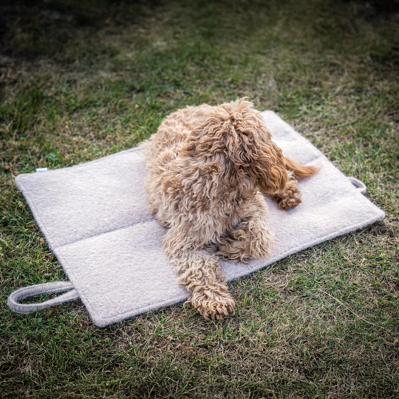 Faltbare Reisedecke FELTRO Beige Walkfilz-Optik