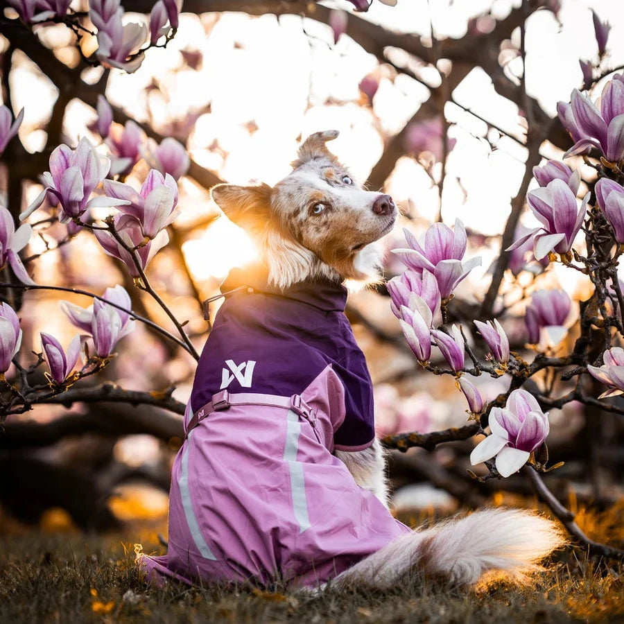 Hunderegenmantel FJORD Raincoat 2.0 Mauve