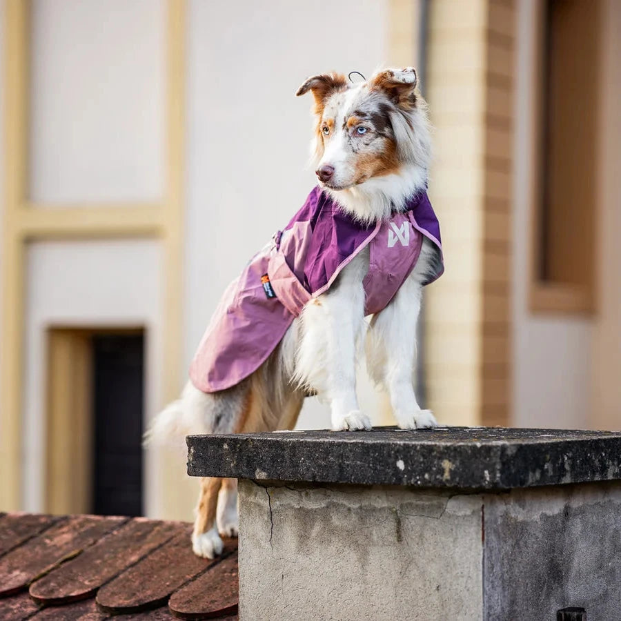 Hunderegenmantel FJORD Raincoat 2.0 Mauve