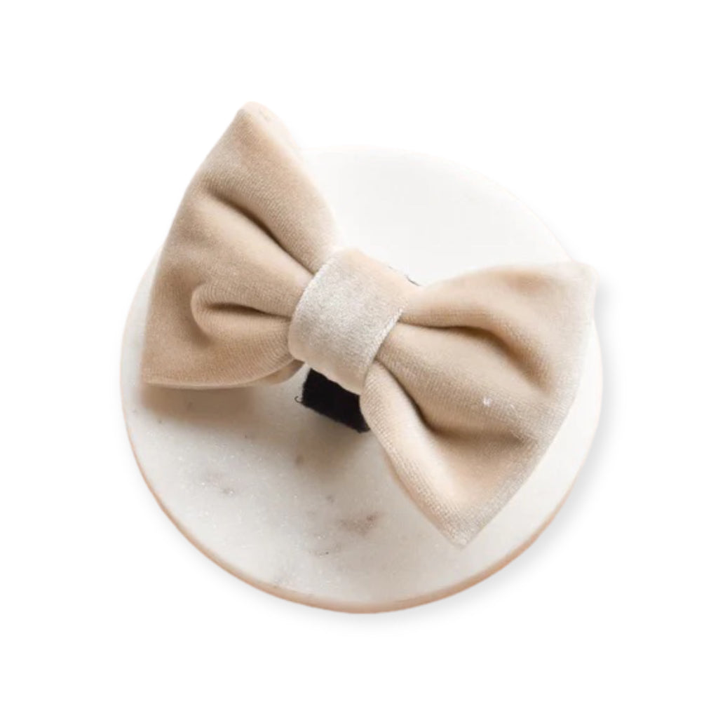 Fliege Velvet Champagne - COCOPUP London