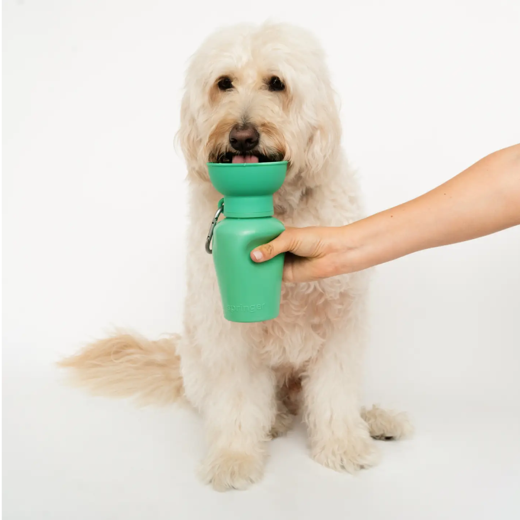 Hund mit Reisetrinkflasche Flip Hundeflasche GREEN - Springer