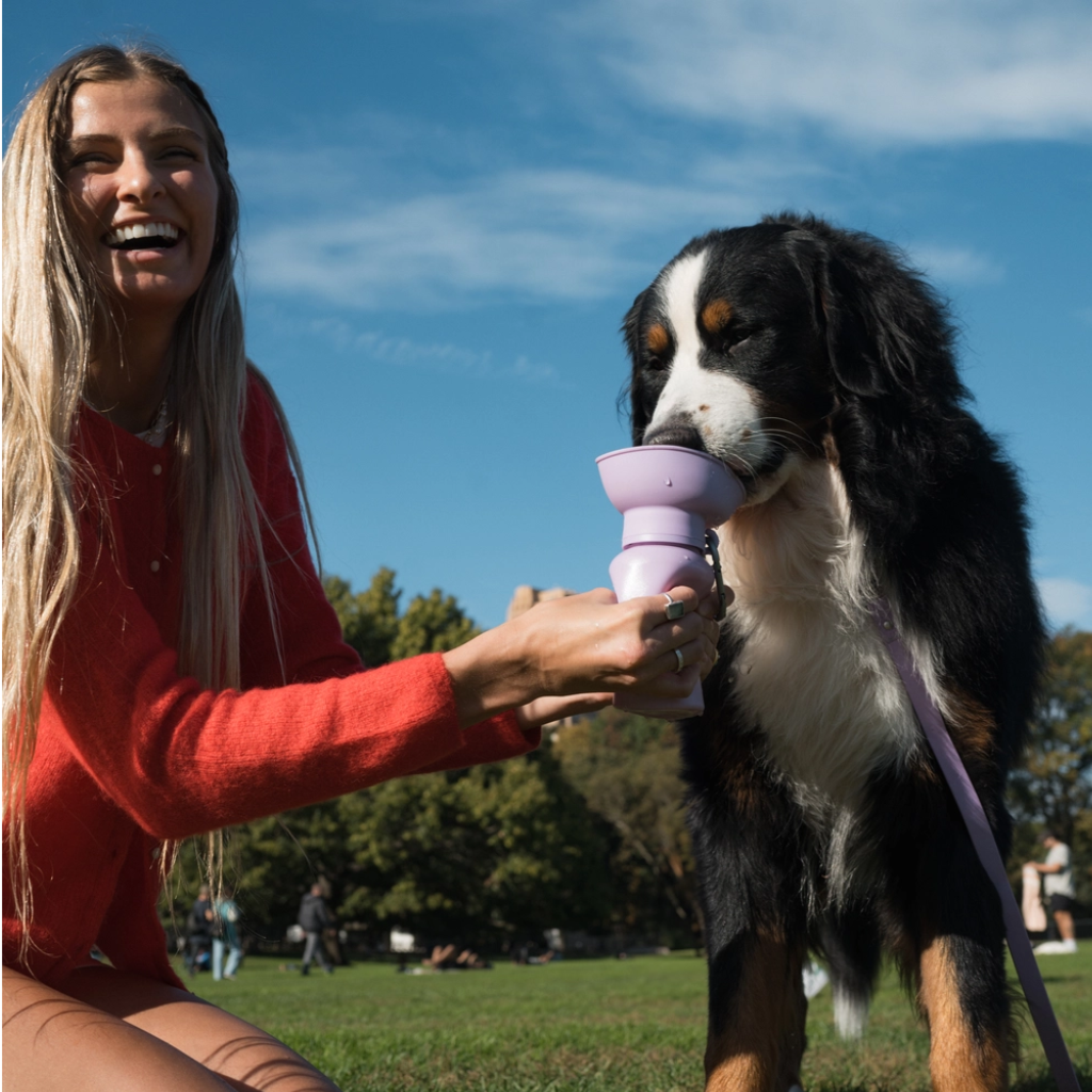 Moodbild Hund an Reisetrinkflasche Flip Hundeflasche Lilac - Springer