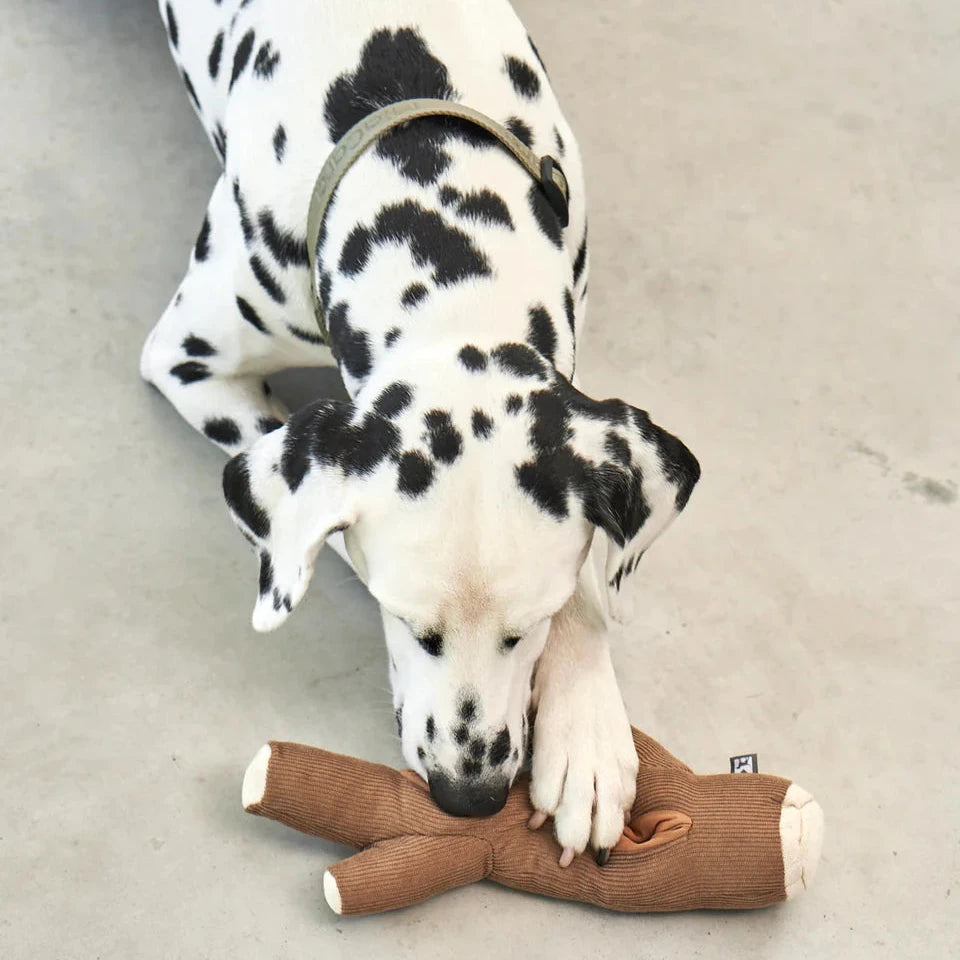 MiaCara Schnüffelspielzeug Foresta Ast