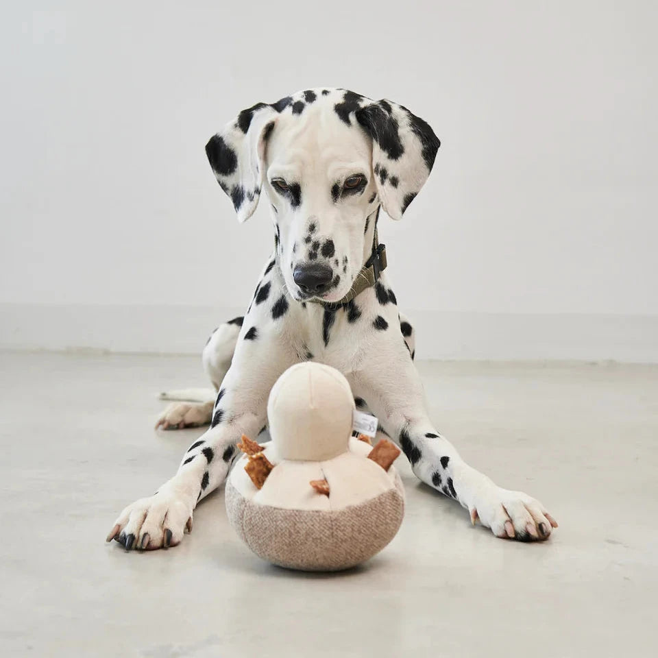 MiaCara Schnüffelspielzeug Foresta Pilz