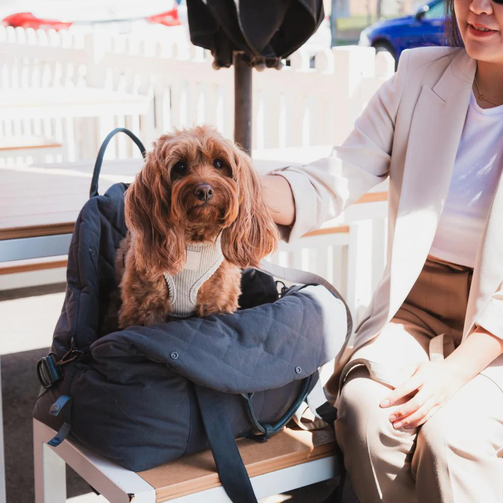 FuzzYard Tragetasche und Autositz Schiefergrau