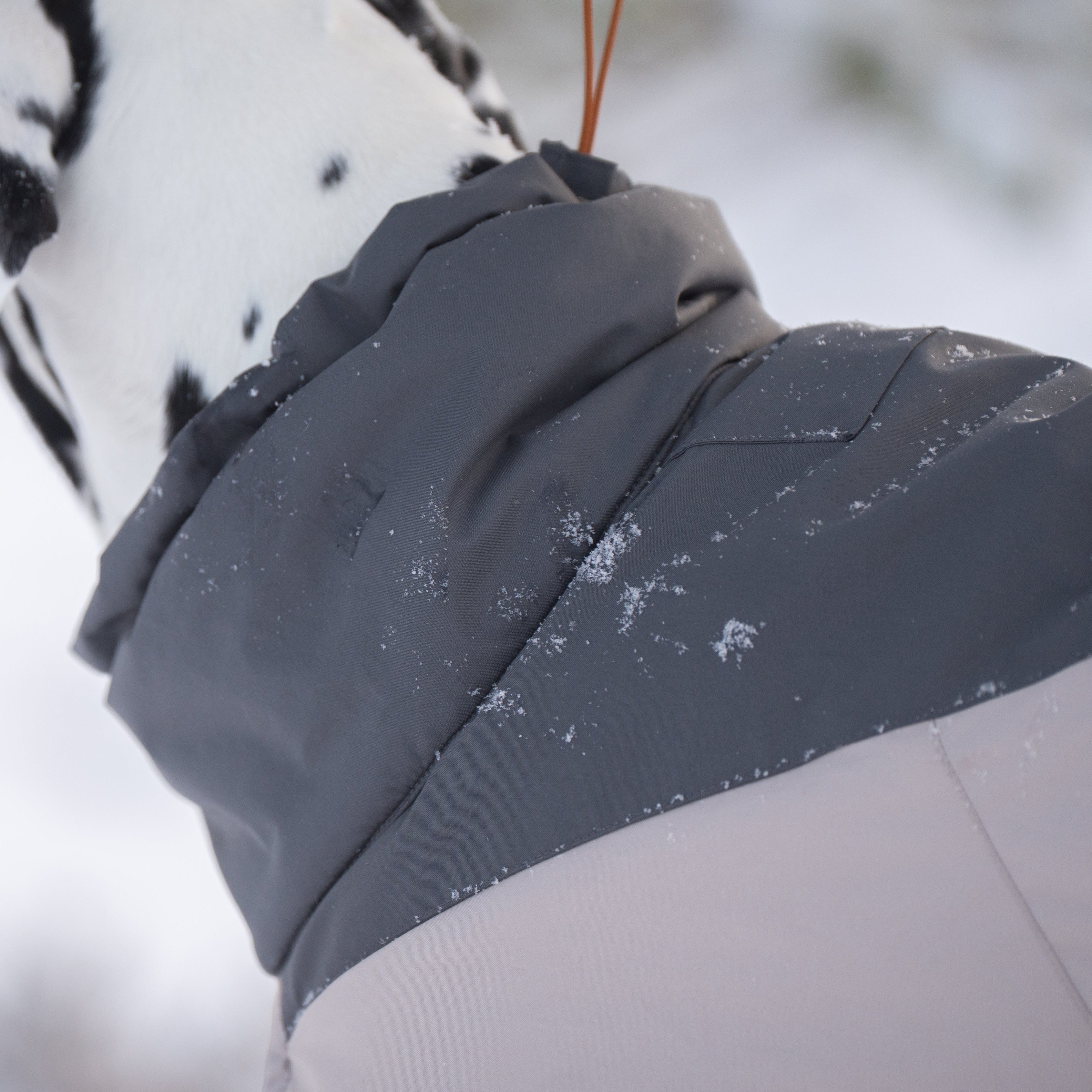 Hundemantel Glacier Wool Jacket 3.0 Green