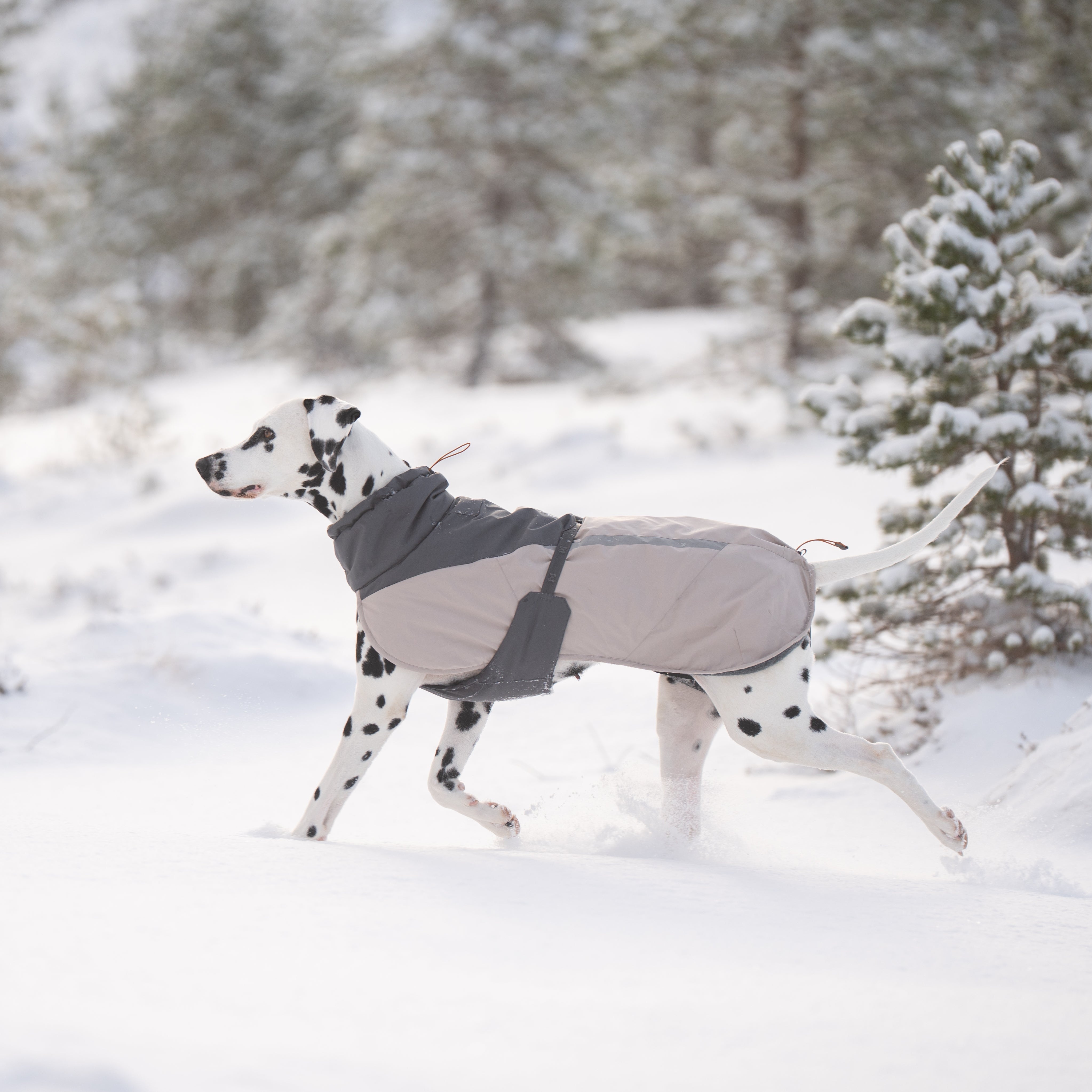 Hundemantel Glacier Wool Jacket 3.0 Green