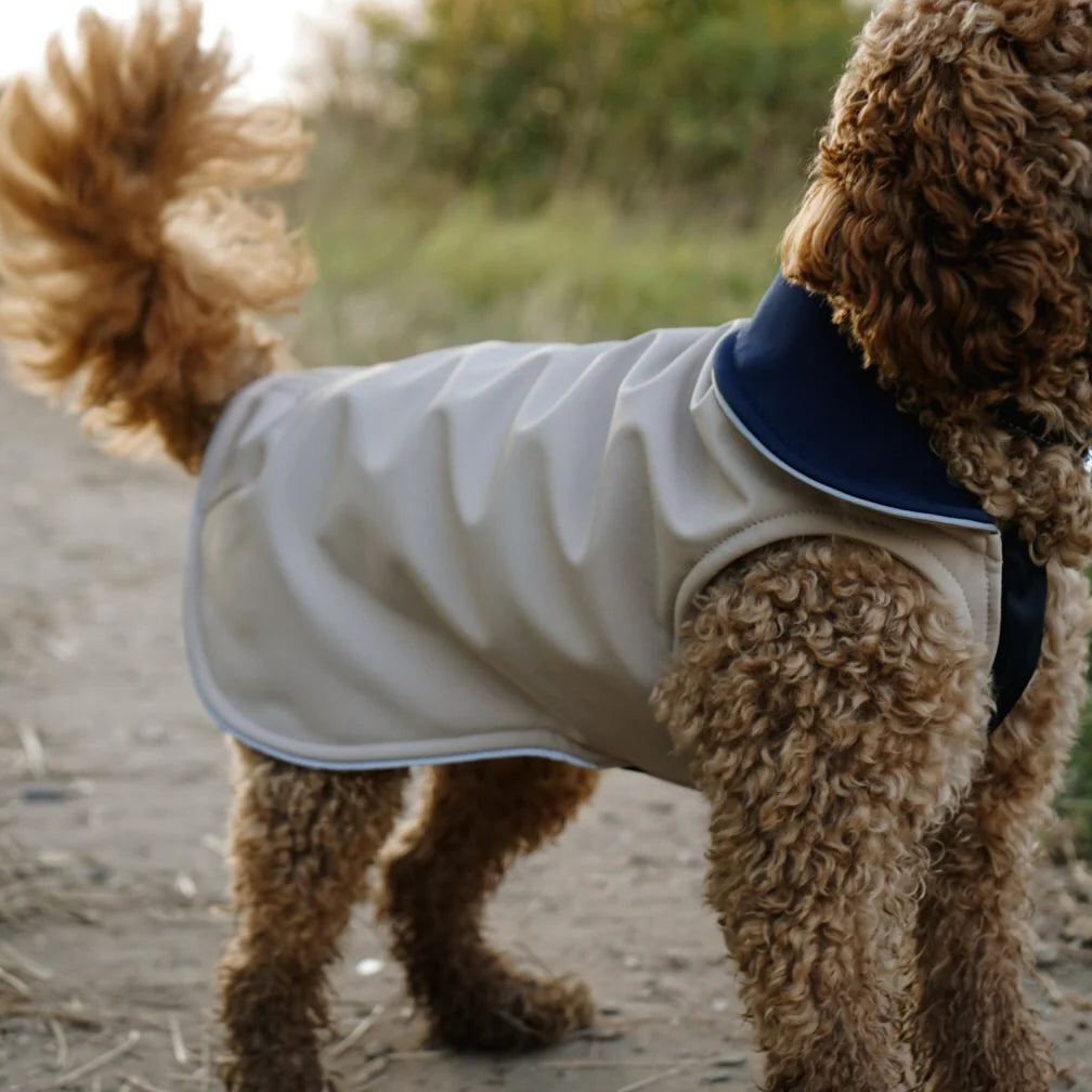 Tragebild 2 Goldhund leichter Hundemantel CosyShell light Stonebeige Dunkelblau