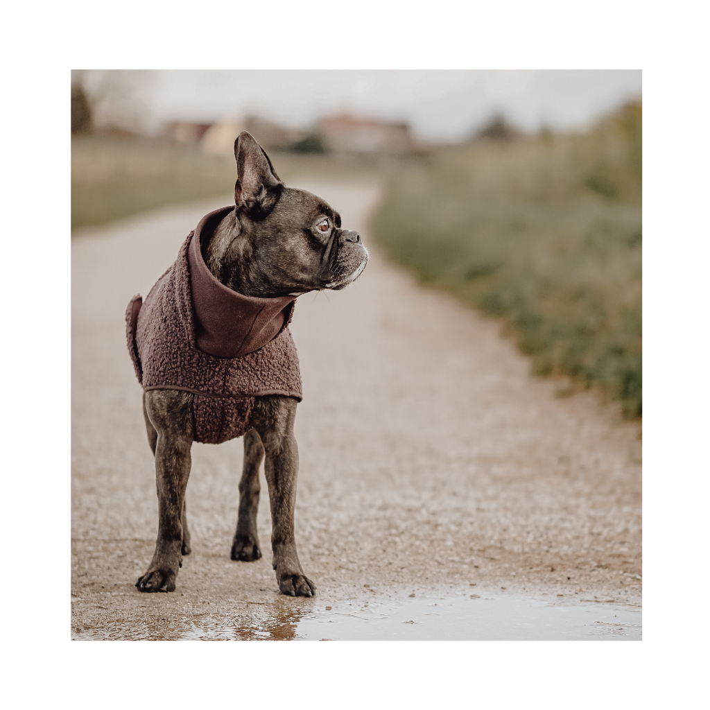Tragebild Balu Cloud7 Hundepullover Gotland Dunkelbraun