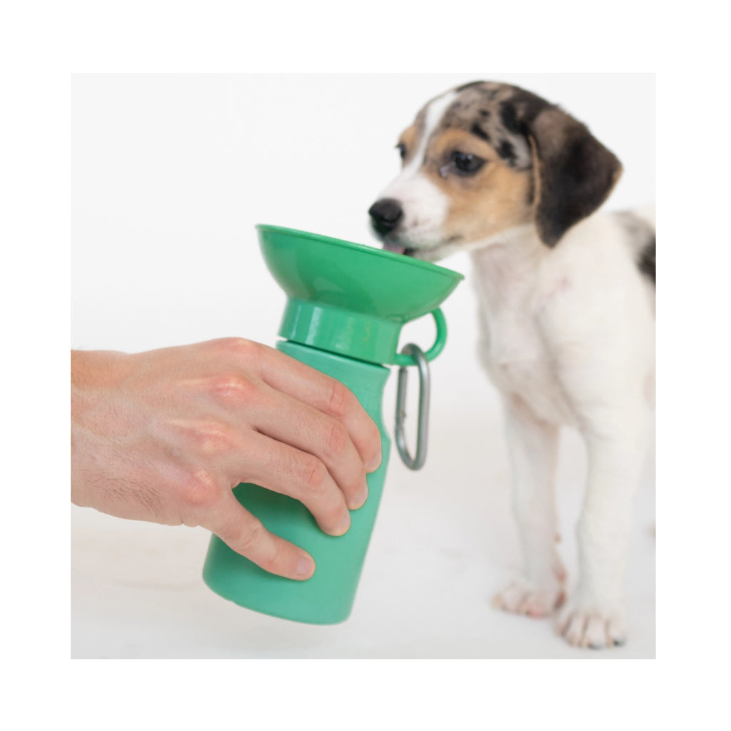 Hund an Reisetrinkflasche Mini für Hunde GREEN - Springer