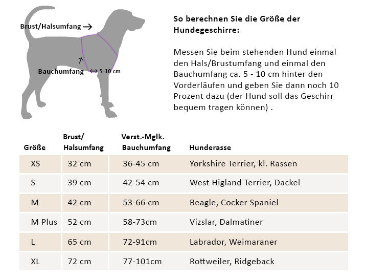 Hundegeschirr Leder Elfenbein Gold