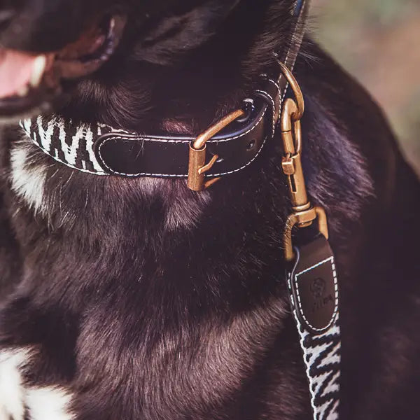 Halsband Black White gepolstert