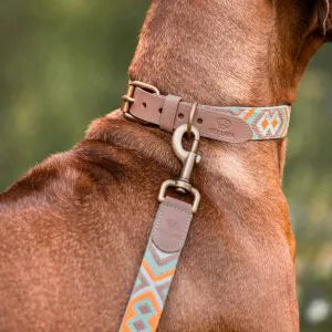 Hundeleine Mint Orange 3-fach verstellbar