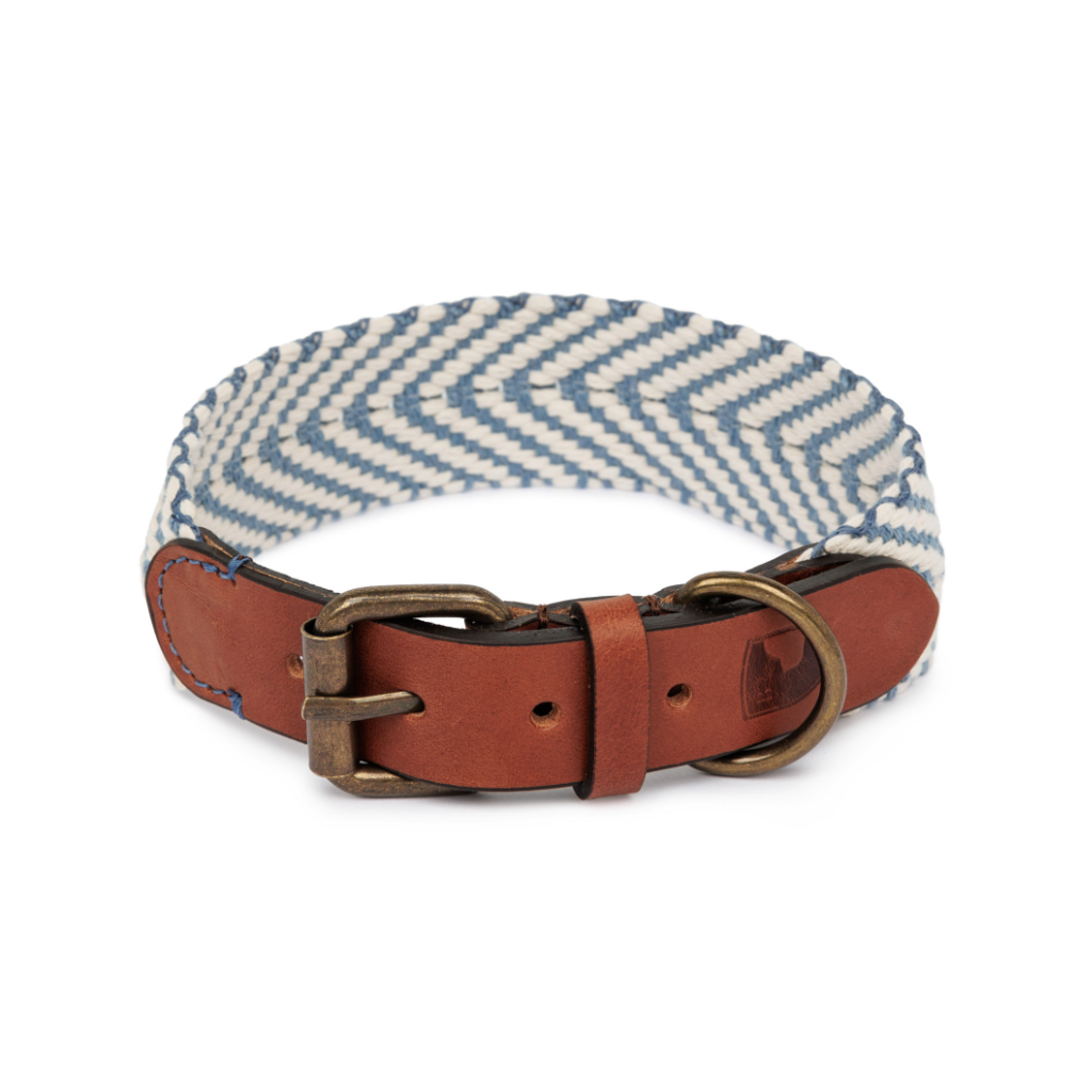 Schnalle Halsband Portixol Sea - Summer Edition - Buddys Dogwear