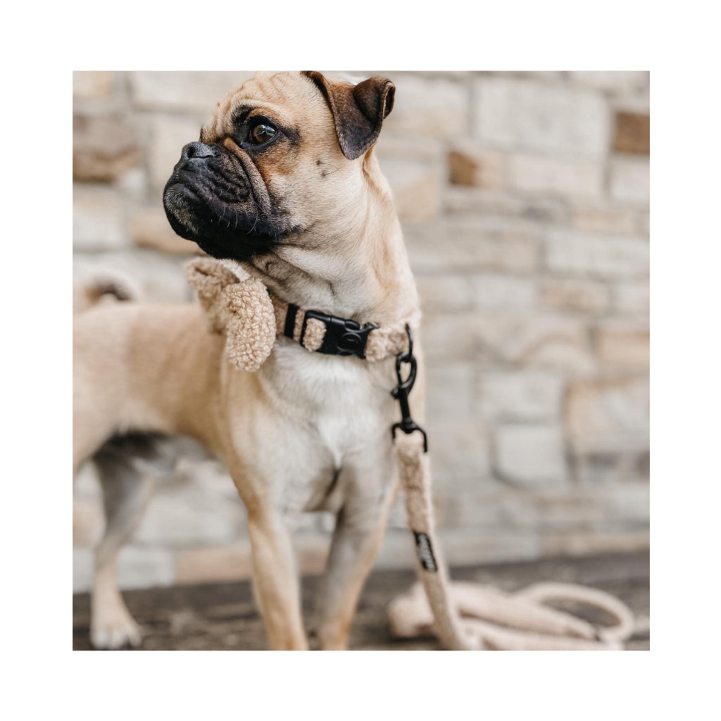 Halsband Teddy BEIGE Rupert